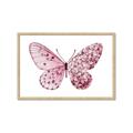 Picture of Pink Butterfly _GroupedProduct_Rectangle_Landscape_Framed_Matted_