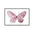 Picture of Pink Butterfly _GroupedProduct_Rectangle_Landscape_Framed_Matted_