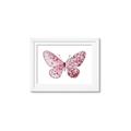 Picture of Pink Butterfly _GroupedProduct_Rectangle_Landscape_Framed_Matted_