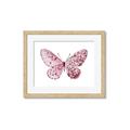 Picture of Pink Butterfly _GroupedProduct_Rectangle_Landscape_Framed_Matted_