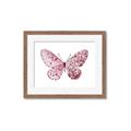 Picture of Pink Butterfly _GroupedProduct_Rectangle_Landscape_Framed_Matted_