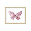 Picture of Pink Butterfly _GroupedProduct_Rectangle_Landscape_Framed_Matted_
