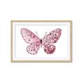 Picture of Pink Butterfly _GroupedProduct_Rectangle_Landscape_Framed_Matted_
