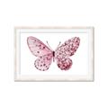 Picture of Pink Butterfly _GroupedProduct_Rectangle_Landscape_Framed_Matted_
