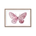Picture of Pink Butterfly _GroupedProduct_Rectangle_Landscape_Framed_Matted_