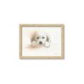 Picture of Cute Puppy _GroupedProduct_Rectangle_Landscape_Framed_Matted_