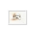 Picture of Cute Puppy _GroupedProduct_Rectangle_Landscape_Framed_Matted_
