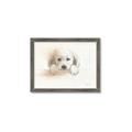 Picture of Cute Puppy _GroupedProduct_Rectangle_Landscape_Framed_Matted_