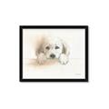 Picture of Cute Puppy _GroupedProduct_Rectangle_Landscape_Framed_Matted_