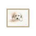 Picture of Cute Puppy _GroupedProduct_Rectangle_Landscape_Framed_Matted_