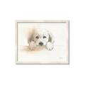 Picture of Cute Puppy _GroupedProduct_Rectangle_Landscape_Framed_Matted_