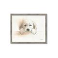 Picture of Cute Puppy _GroupedProduct_Rectangle_Landscape_Framed_Matted_