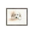 Picture of Cute Puppy _GroupedProduct_Rectangle_Landscape_Framed_Matted_