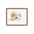 Picture of Cute Puppy _GroupedProduct_Rectangle_Landscape_Framed_Matted_