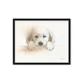 Picture of Cute Puppy _GroupedProduct_Rectangle_Landscape_Framed_Matted_