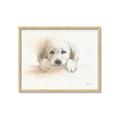 Picture of Cute Puppy _GroupedProduct_Rectangle_Landscape_Framed_Matted_