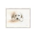 Picture of Cute Puppy _GroupedProduct_Rectangle_Landscape_Framed_Matted_