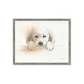 Picture of Cute Puppy _GroupedProduct_Rectangle_Landscape_Framed_Matted_