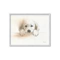 Picture of Cute Puppy _GroupedProduct_Rectangle_Landscape_Framed_Matted_