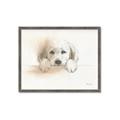 Picture of Cute Puppy _GroupedProduct_Rectangle_Landscape_Framed_Matted_