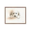 Picture of Cute Puppy _GroupedProduct_Rectangle_Landscape_Framed_Matted_