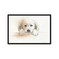 Picture of Cute Puppy _GroupedProduct_Rectangle_Landscape_Framed_Matted_