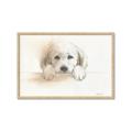 Picture of Cute Puppy _GroupedProduct_Rectangle_Landscape_Framed_Matted_