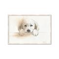 Picture of Cute Puppy _GroupedProduct_Rectangle_Landscape_Framed_Matted_