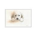 Picture of Cute Puppy _GroupedProduct_Rectangle_Landscape_Framed_Matted_