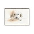 Picture of Cute Puppy _GroupedProduct_Rectangle_Landscape_Framed_Matted_