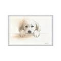 Picture of Cute Puppy _GroupedProduct_Rectangle_Landscape_Framed_Matted_