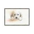 Picture of Cute Puppy _GroupedProduct_Rectangle_Landscape_Framed_Matted_