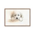 Picture of Cute Puppy _GroupedProduct_Rectangle_Landscape_Framed_Matted_