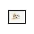 Picture of Cute Puppy _GroupedProduct_Rectangle_Landscape_Framed_Matted_