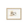 Picture of Cute Puppy _GroupedProduct_Rectangle_Landscape_Framed_Matted_