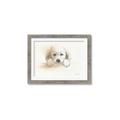 Picture of Cute Puppy _GroupedProduct_Rectangle_Landscape_Framed_Matted_