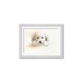 Picture of Cute Puppy _GroupedProduct_Rectangle_Landscape_Framed_Matted_