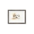 Picture of Cute Puppy _GroupedProduct_Rectangle_Landscape_Framed_Matted_