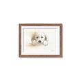 Picture of Cute Puppy _GroupedProduct_Rectangle_Landscape_Framed_Matted_