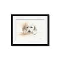 Picture of Cute Puppy _GroupedProduct_Rectangle_Landscape_Framed_Matted_