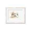 Picture of Cute Puppy _GroupedProduct_Rectangle_Landscape_Framed_Matted_