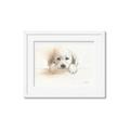 Picture of Cute Puppy _GroupedProduct_Rectangle_Landscape_Framed_Matted_