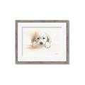 Picture of Cute Puppy _GroupedProduct_Rectangle_Landscape_Framed_Matted_