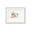 Picture of Cute Puppy _GroupedProduct_Rectangle_Landscape_Framed_Matted_