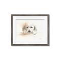 Picture of Cute Puppy _GroupedProduct_Rectangle_Landscape_Framed_Matted_