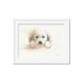 Picture of Cute Puppy _GroupedProduct_Rectangle_Landscape_Framed_Matted_