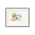 Picture of Cute Puppy _GroupedProduct_Rectangle_Landscape_Framed_Matted_