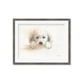 Picture of Cute Puppy _GroupedProduct_Rectangle_Landscape_Framed_Matted_