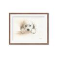 Picture of Cute Puppy _GroupedProduct_Rectangle_Landscape_Framed_Matted_