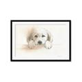 Picture of Cute Puppy _GroupedProduct_Rectangle_Landscape_Framed_Matted_